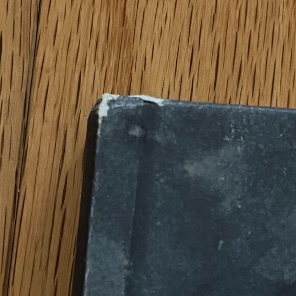 Acclaimed Queer Graphic Novel: I Never Promised You a Rose Garden - Picture 5 of 7